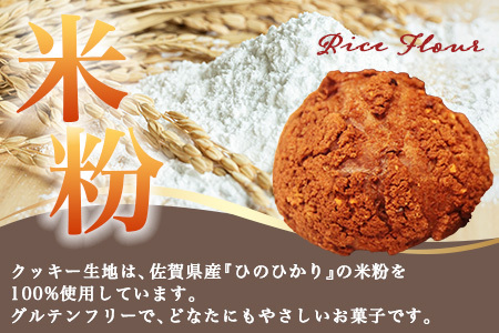  お米のチョコシュークリーム　５個入り  AA-26