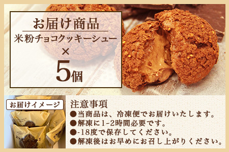  お米のチョコシュークリーム　５個入り  AA-26