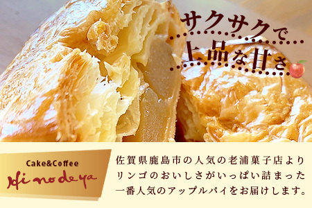 窯出しアップルパイ9個入り B-413