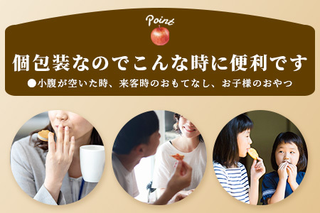 窯出しアップルパイ9個入り B-413