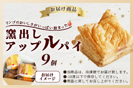 窯出しアップルパイ9個入り B-413
