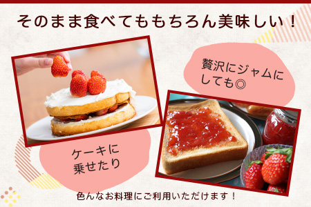【ふるなびWEEK対象】【予約受付】 佐賀県産いちご 「いちごさん」 約240ｇ×4パック FN-Limited-PR B-465