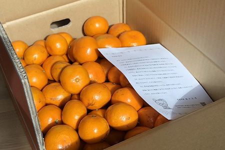 【先行予約】(2026年11月上旬~発送)”わーがと”鹿島産がばい訳アリみかん 約10kg【サイズ別】 【期日指定不可】みかん ミカン 蜜柑 柑橘 果物 フルーツ 甘い ふるさと納税 佐賀県 鹿島市 A-90