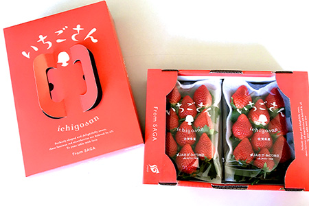 いちご 新ブランド 【いちごさん】 キューブ 240g×2パック 【2026年1月上旬~3月発送】JA直送 A-135