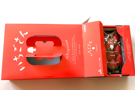 いちご 新ブランド 【いちごさん】 キューブ 240g×2パック 【2026年1月上旬~3月発送】JA直送 A-135