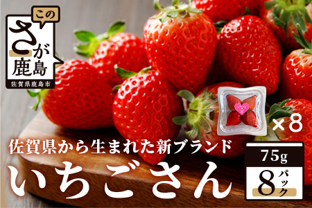 いちご 新ブランド 【いちごさん】 てのひらギフトセット 75g×8パック 計600g 1パック4～5玉入 【2026年1月上旬～3月発送】 JA直送 鮮度抜群 佐賀県 鹿島市 A-153