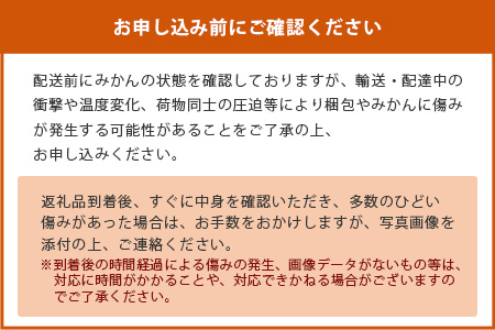   ”よかんばい”鹿島産みかん 訳アリ 約12kg 大中小サイズ混合 B-374