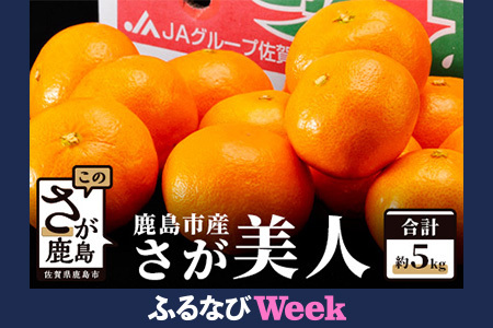 【ふるなびWEEK対象】【さが美人 みかん 約5kg】 温州みかん フルーツ 果物 ギフト 贈答 ミカン 蜜柑 柑橘 くだもの 果実 国産 佐賀県 鹿島市 ふるさと 人気 送料無料 【10月下旬～12月頃発送予定】 B-67 FN-Limited-PR