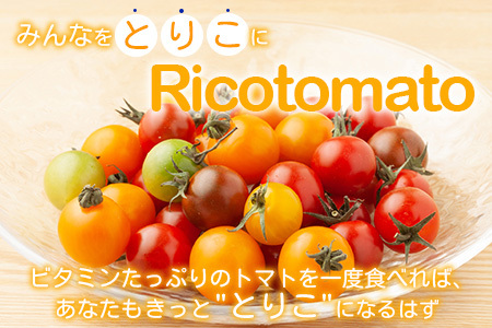 【先行予約】 【2026年1月から出荷】カラフルミニトマト 『Ricotomato』 【1kg×4回定期便】 F-25