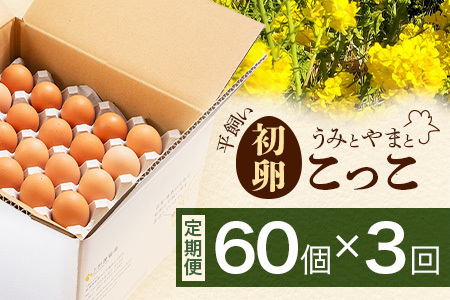 たまご 鶏卵 【定期便】佐賀鹿島産 平飼い初卵「うみとやまとこっこ」 上田養鶏場 たまご60個×3回 卵タマゴ  玉子焼きD-117