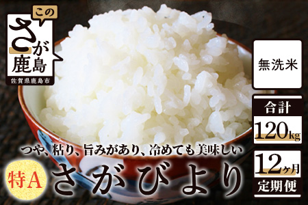  無洗米さがびより10kg定期便（12か月） N-14