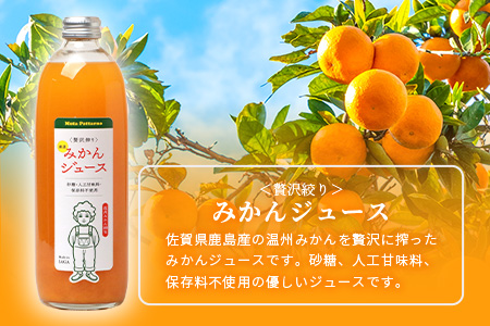 100% 生搾り ストレートジュース 鹿島市産 温州みかん 不知火 みかんジュース　500ml×合計4本 セット（ みかんジュース と みかんと不知火ブレンドジュース 各2本 ） 佐賀県 鹿島市 B-541