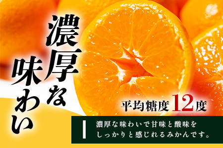 まぼろしのみかん》鹿島 平倉果樹園のみかん『今村』 約5.5kg サイズ