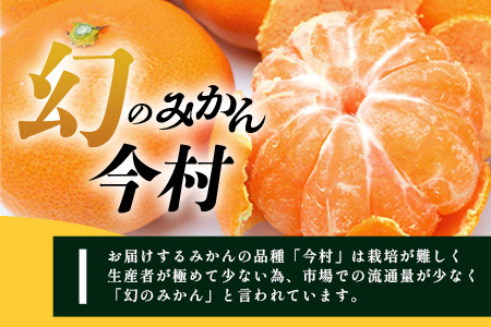 まぼろしのみかん》鹿島 平倉果樹園のみかん『今村』 約5.5kg サイズ