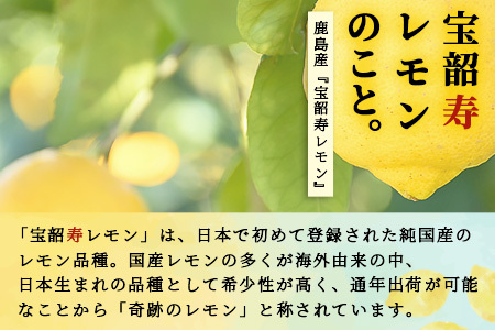 【先行予約】無添加100％ 国産 レモン果汁 720ml × 3本 セット 計2160ml | ふるさと納税 レモン レモン果汁 果汁 檸檬 れもん 宝韶寿レモン 佐賀県 鹿島市 ふるさと 人気 送料無料 B-334