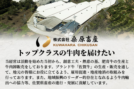 佐賀牛 ロース ステーキ用 500g (2枚入) D-173 (佐賀牛サーロイン 佐賀牛リブロースのいずれか500g)美味しい佐賀牛を贅沢にお届け