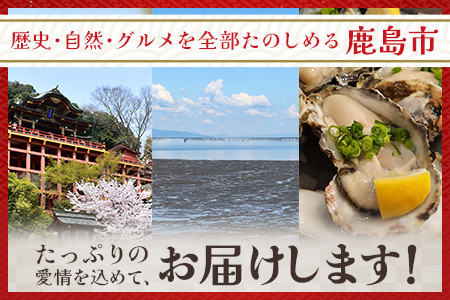【駅長厳選】道の駅「かしま」厳選おたのしみ詰め合わせセット【福袋】B-560