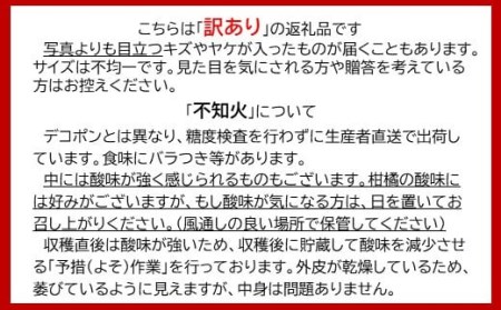 【訳アリ・お届け期日指定不可】”よかんばい”鹿島産不知火  約11kg（箱込み：配送における傷み保証含む） B-292