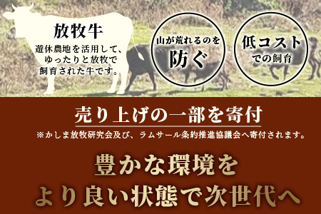 B-574 ななうら放牧牛 サイコロステーキ 300g×4袋【合計1.2kg】