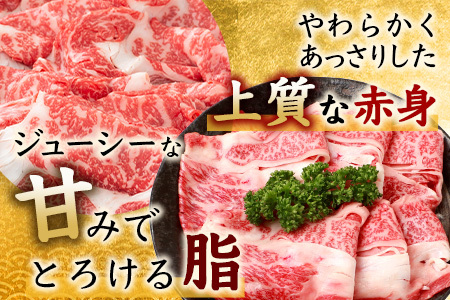 佐賀牛 肩ローススライス 800g 佐賀県産 すきやき すき焼き しゃぶしゃぶ D-189