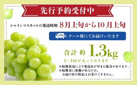 【先行予約】【2025年8月上旬以降発送】シャインマスカット （約1.3kg） 佐賀県産 シャインマスカット  こだわり シャインマスカット シャインマスカット2～3房 歯切れがよい シャインマスカット B-658