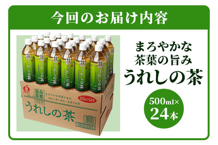 うれしの茶　500mlペットボトル×24本入箱買い緑茶 セット お茶 飲料 緑茶 飲み切りサイズ緑茶 B-664