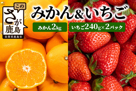 【予約受付】【目利きのプロが厳選】佐賀県産みかん約2kg＆イチゴ セット いちご 苺 みかん 蜜柑 ミカン フルーツ 果物 ギフト 贈物 プレゼント 贈答 セット B-668