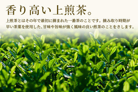 ギフトにおすすめ】 佐賀県産 上煎茶 うれしの茶 100g×3本【合計300g