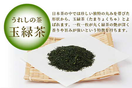 ギフトにおすすめ】 佐賀県産 上煎茶 うれしの茶 100g×3本【合計300g