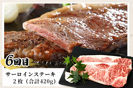 【定期便6回】佐賀牛 食べ比べ 定期便 6ヶ月 6ヵ月 焼肉 焼き肉 すきやき すき焼き しゃぶしゃぶ サイコロステーキ ステーキ I-29