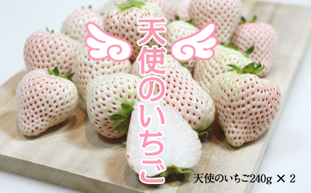 【先行予約令和8年1月配送開始】佐賀県産いちご 天使のいちご 240g X 2パック B120-065 いちご 果物