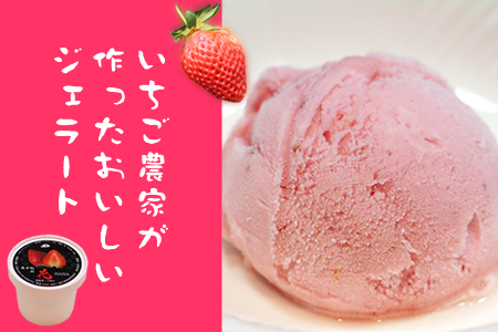 B10-111 いちご農園直送!いちごさんジェラート(6個入り) 1万円コース