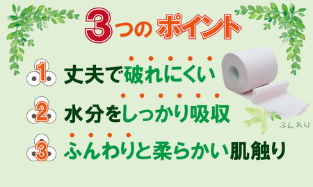 【トイレットペーパー】12ロール ながーい！2倍巻き（ホワイト）生活応援 ダブル X 2パック（全24ロール） A065-011１パック（12ロール入り）再生紙 日用品 国産 生活 SDGs 備蓄 防災 リサイクル エコ 消耗品 雑貨 生活用品 佐賀県 小城市 無香料 