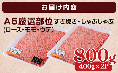 佐賀牛A5しゃぶしゃぶすき焼き用厳選部位800g C210-007 佐賀牛 A5 すき焼き しゃぶしゃぶ 厳選部位 800g ブランド牛 黒毛和牛 九州 佐賀 A5だけブランド牛 しゃぶしゃぶ肉 すき焼き肉 すきやき スライス 薄切り 人気 ランキング 高評価 牛肉 国産 佐賀県産 佐賀県 小城市