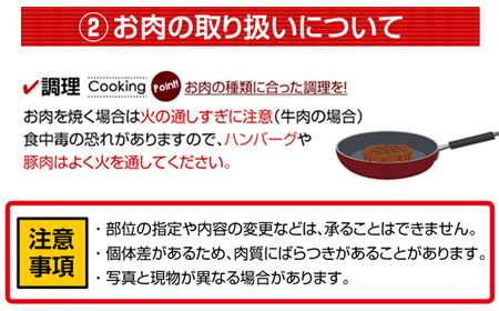 【訳あり】佐賀牛コロコロサイコロ肉（500g）おぎのからあげ  B120-030