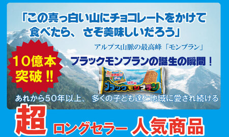 ブラックモンブラン20本セット 竹下製菓 アイス クリーム スィーツ  B130-042