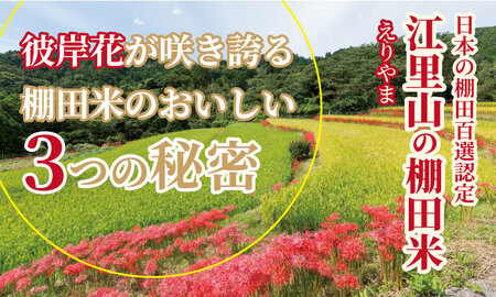 佐賀県遺産認定「江里山の棚田」のお米(5kg) 令和7年産 B150-019