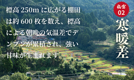 佐賀県遺産認定「江里山の棚田」のお米(5kg) 令和7年産 B150-019