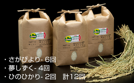 【定期便】(12ヶ月連続お届け) 田中農場 特別栽培認定 佐賀米3kg X 12回 毎月発送コース Q070-001