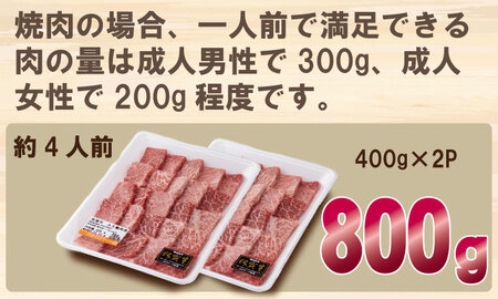 佐賀牛 焼肉  800g C210-008 焼肉 牛肉 厳選部位