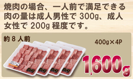 佐賀牛 焼肉 1,600g D400-012 焼肉 厳選部位 牛肉