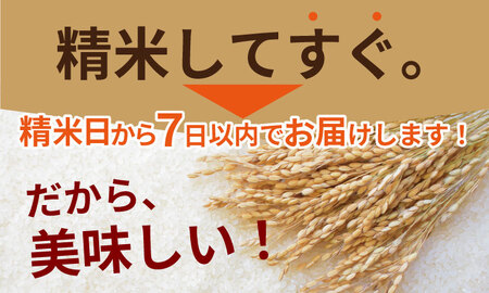 佐賀ブランド米 さがびより (20kg) 肥前糧食 D480-001