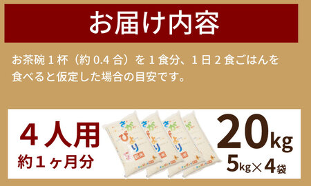 佐賀ブランド米 さがびより (20kg) 肥前糧食 D480-001