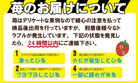 【先行予約令和8年1月配送開始】いちご「よつぼし」230g×4パック B130-057 いちご 果物