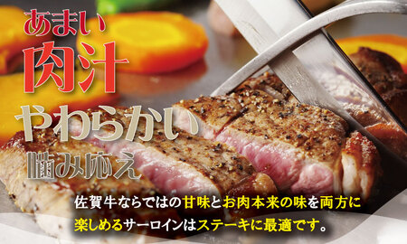佐賀牛 サーロイン ステーキ 用６枚（合計1,000g） D360-002 ｽﾃｰｷ 牛肉