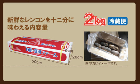 佐賀県産泥付きレンコン（2kg）潮風ファーム A070-029