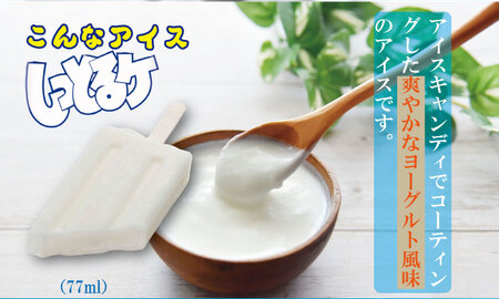 しっとるケ 32本 B150-010 アイス デザート 冷凍 スイーツ アイスクリーム