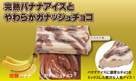 トラキチ君 レギュラーサイズ 30本 B170-018  アイス デザート 冷凍 スイーツ アイスクリーム