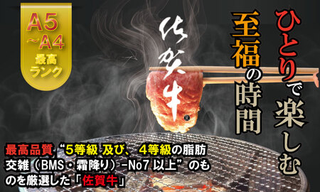 【定期便】佐賀牛 (年6回/奇数月お届け) やまとフーズ 単身・おひとり様用  Q096-004