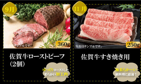 【定期便】佐賀牛 (年6回/奇数月お届け) やまとフーズ 単身・おひとり様用  Q096-004